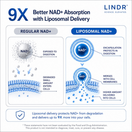 LINDR NAD+