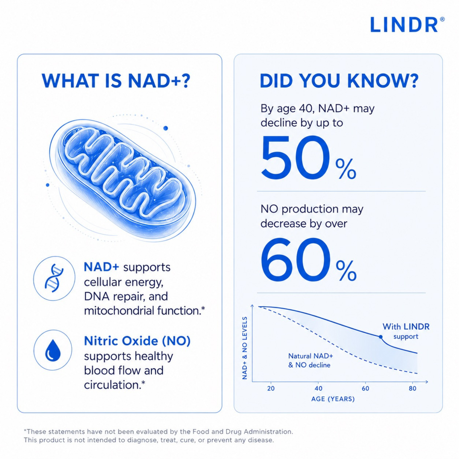 LINDR NAD+