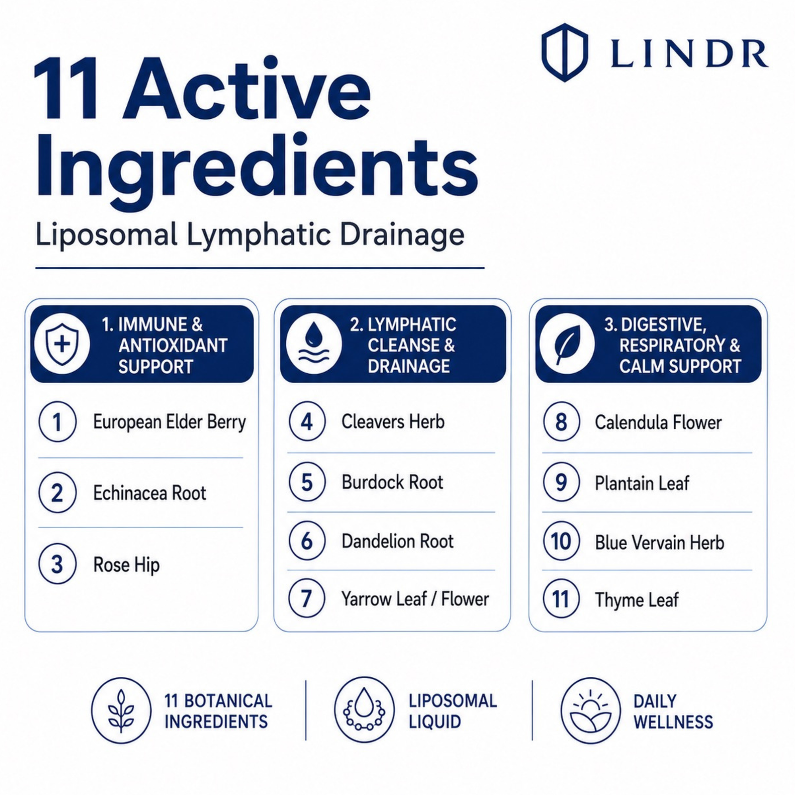 LINDR Lymphatic Drainage Drops