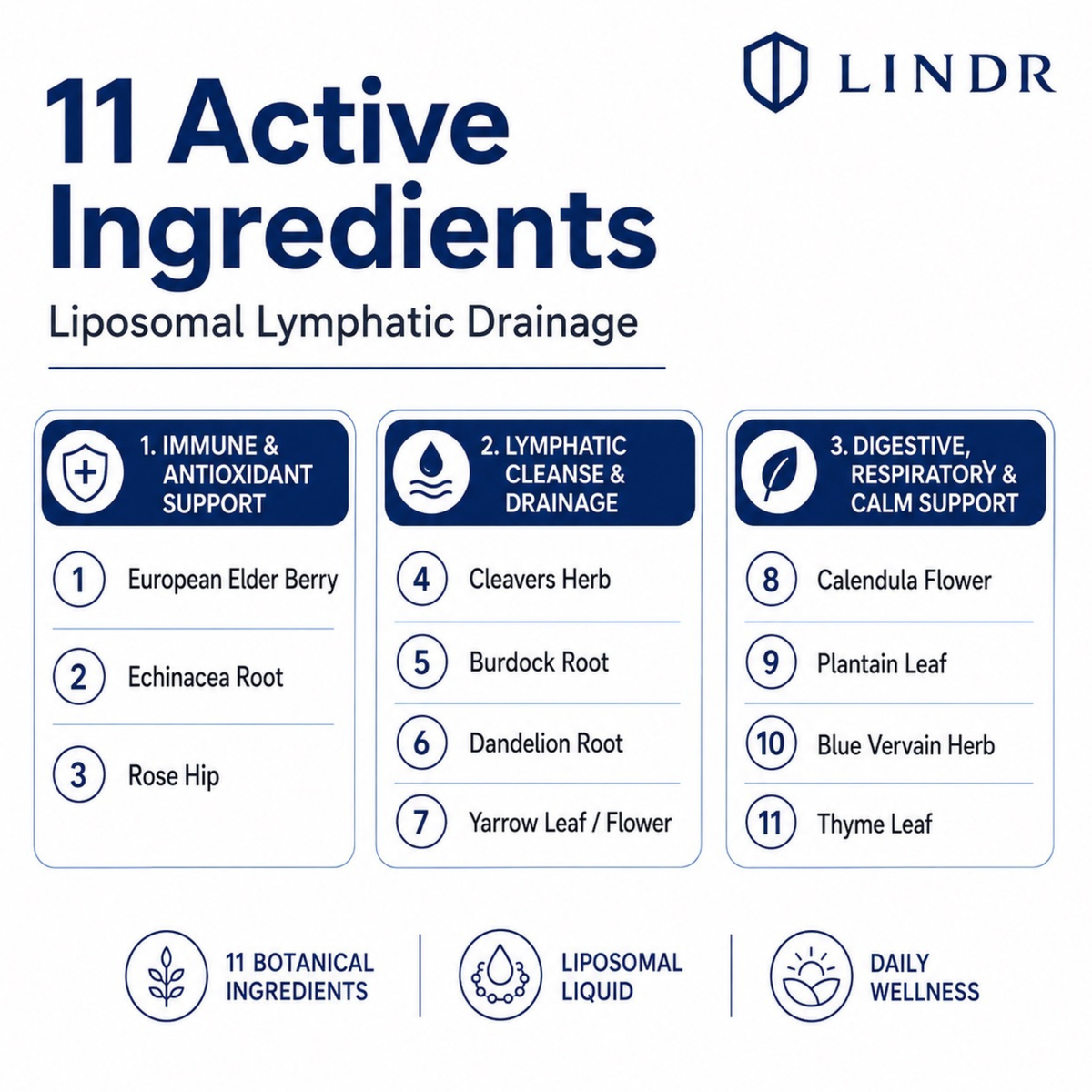 LINDR Lymphatic Drainage Drops